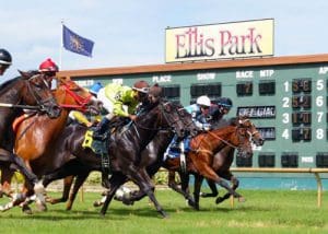 Ellis Park Race Track