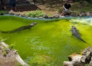 The Calusa Nature Center & Planetarium
