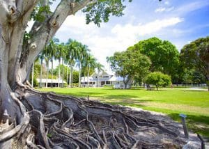 Edison and Ford Winter Estates