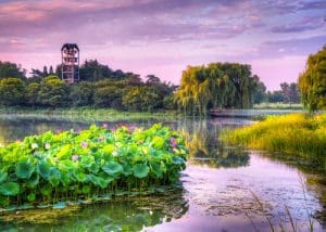 Chicago Botanic Garden